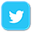 Twitter icon